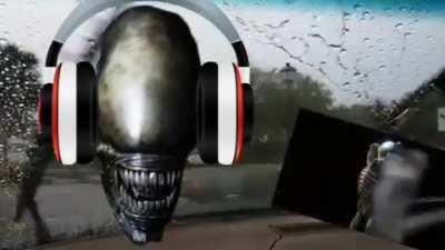 Where zenomorf memes?