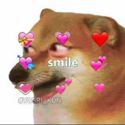 I am obsessed with the this yellow demon dog..