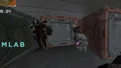 Competitive experience in ALGS