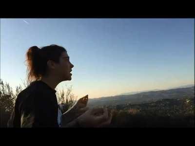 [/r/frankverse] presents Felicity feline: The purpose of life and universe (Audio ON)