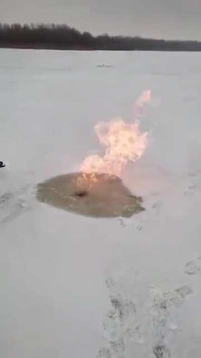 это вообще законно?