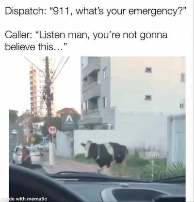 It&rsquo;s like nothing has context in here