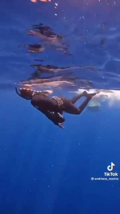 Those legs look tasty