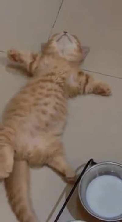 Eat, drink, sleep, repeat