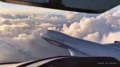 Hoot! Hoot! Hoot!🛩🚁😂😂😂