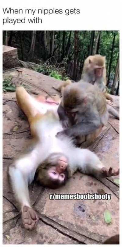 Do you like when your nipples are stimulated?