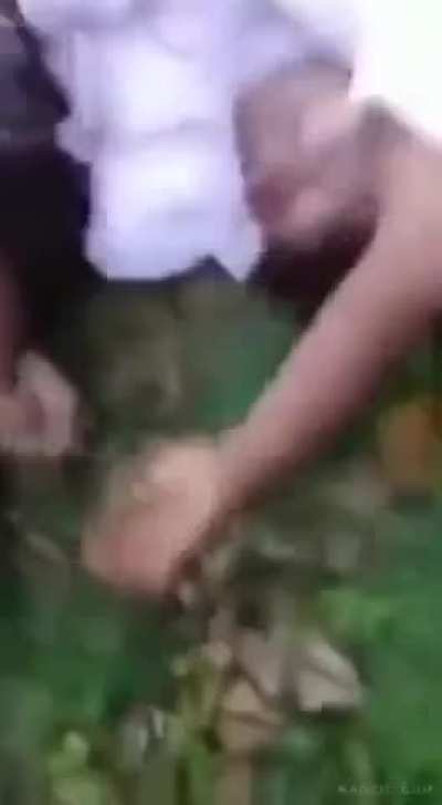 When The Elephant Has Had Enough 