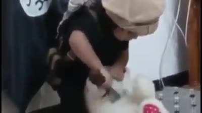 Okey... Okey... I'm just speechless here