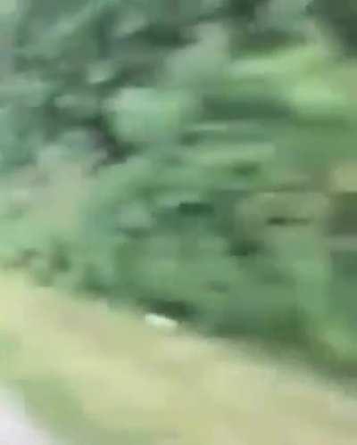 Guy pushes cyclist into the woods