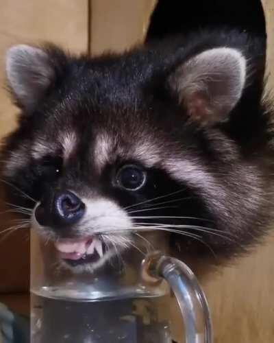 Just getting a lil drink