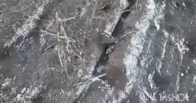 Russian soldier surrendered to a Ukrainian drone and was then captured by ground troops.