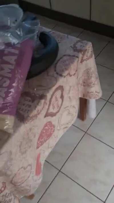 When boys see a sack of rise... JUST SLAP IT