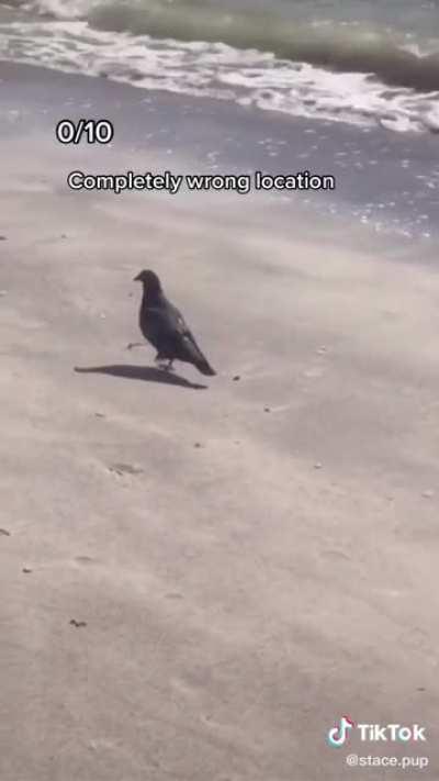 The production quality’s really been going down lately...