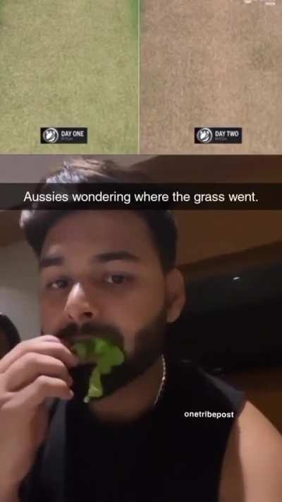 Run maker. Grass eater.