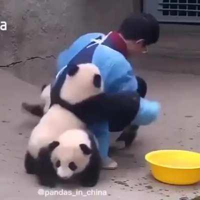 ASIAn hero atTackEd BY BlACK AnD wHite ASSAssIn's