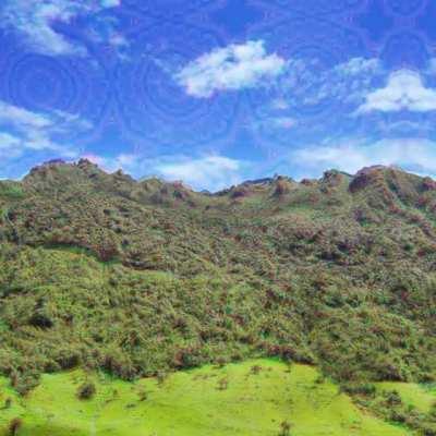 My most accurate representation of tripping in the mountains