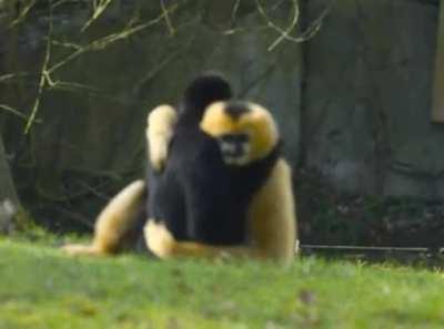 don't like this subreddit, it should be about this