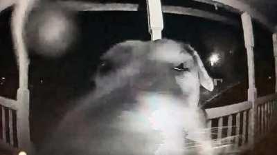 I fOrGoT mY KeYs, mOm