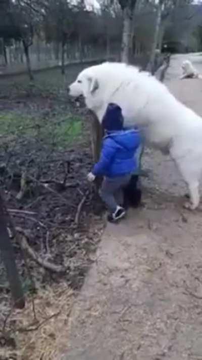 The ultimate bodyguard.