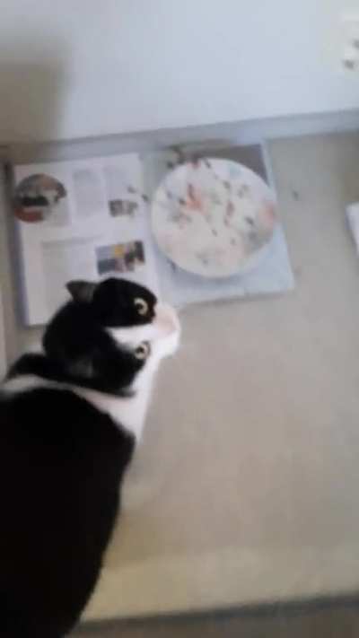 What do you think of Nievi?