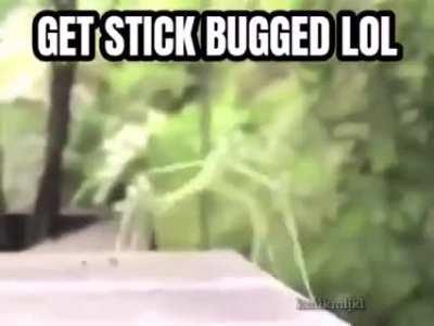 Rick role 😳😳😳