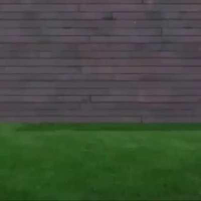 The Gays ™️ after Solar Power releases