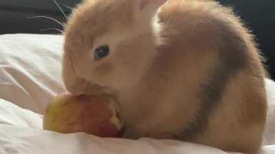 Still need to name her .. any suggestions ?