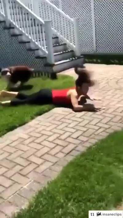 Cuidado, cachorro feliz