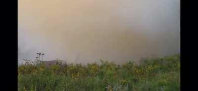 Hog Control With Tannerite!