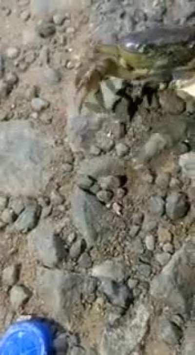 Саня, а тебе говорили не кури в детстве