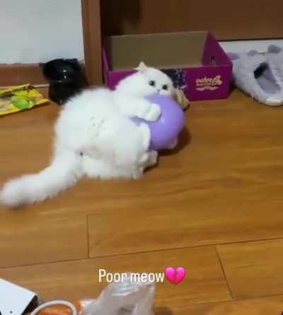 Sudden boom , where it is ?