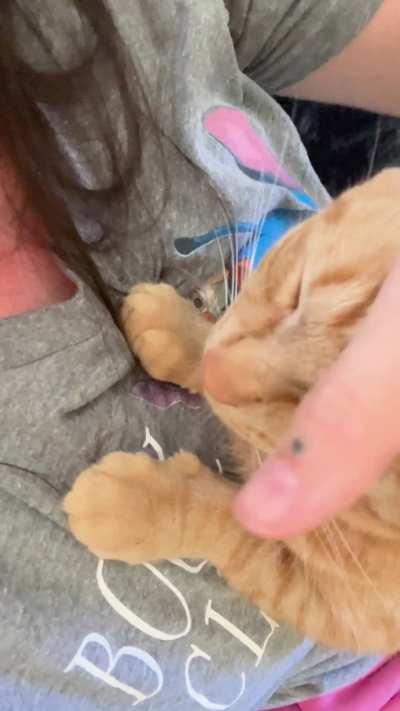 “Clean my face mom!”