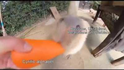 Bulgaria spreading civilization and culture to the other Slavs