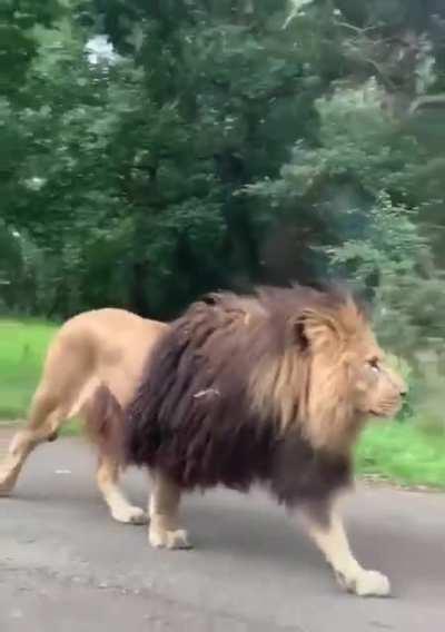 Just another day on patrol. 