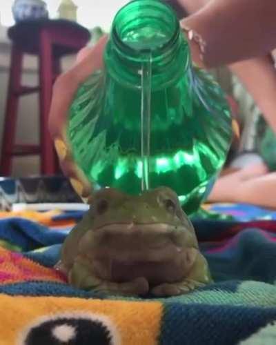 Fellow Homie Living the Dream