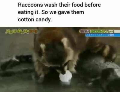 Crosspost from r/funnyandsad