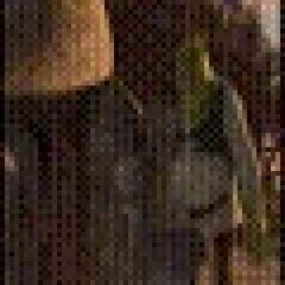 Entire shrek movie as a gif