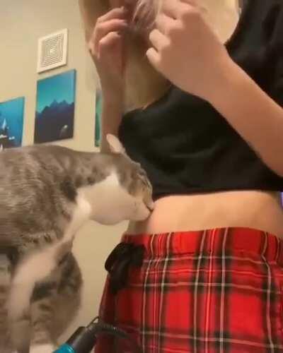 ♫ Hello bellybutton my old friend