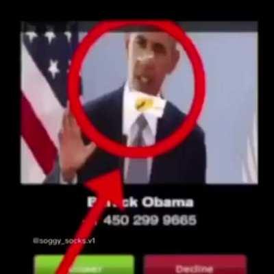 Detroit Sponge!!!?!?!?