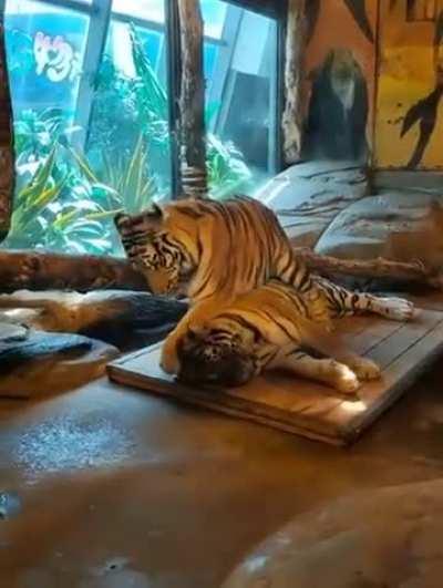 Their side of the bed