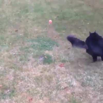 ERROR: SENSORY OVERLOAD DETECTED, SHUTTING DOWN.