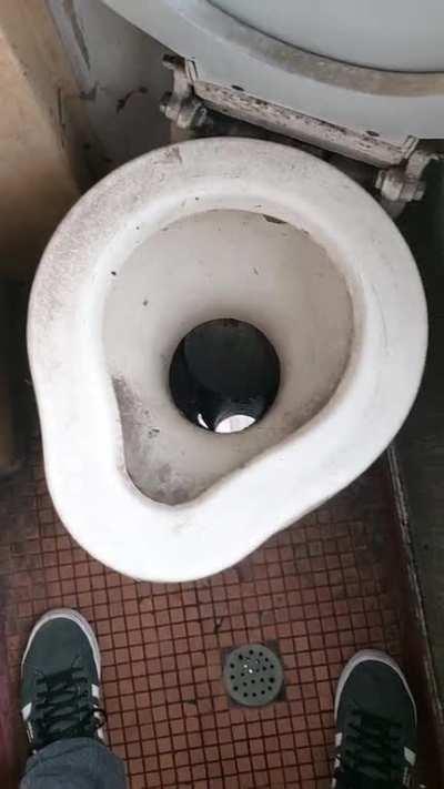 Toilet on a Hungarian train.