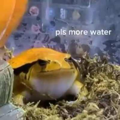 Genre: gaming music / it’s eating me up please help