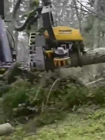 Machine turns trees into logs at very hihg speed.