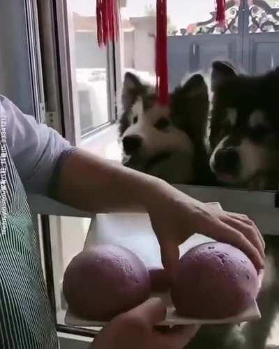 Everyone gets a treat