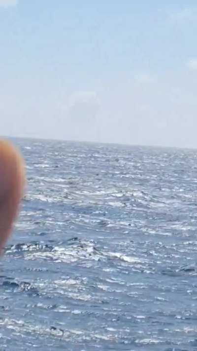 J-15 wave off during carrier exercises off the coast of Hainan [Video]