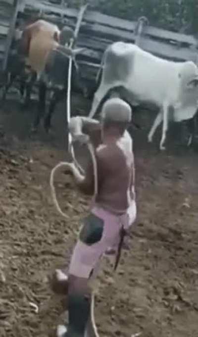 This ain't his first Rodeo