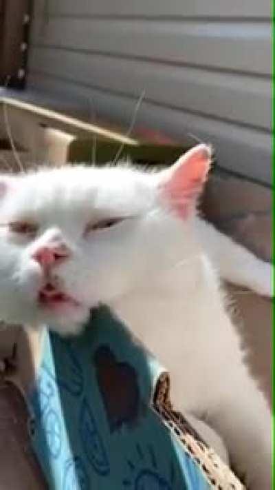 stopped working after an irresponsible dose