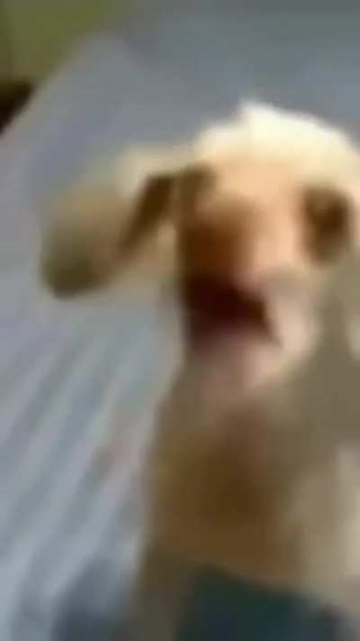 Tell me what you want