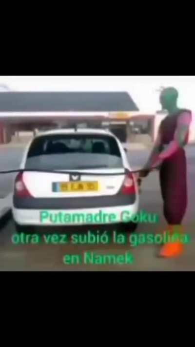 Puta madre Goku 